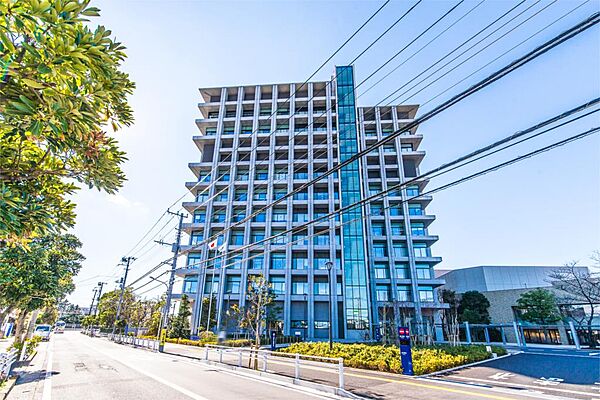 周辺を拡大表示