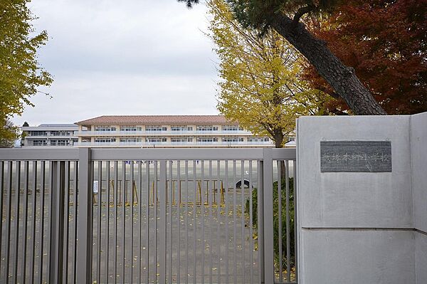 画像4:藪塚本町小学校(420m)