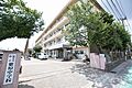 紫原中学校【鹿...