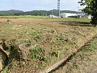 新潟県佐渡市新穂大野(新穂)：物件画像
