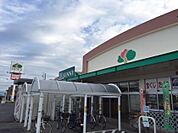 サザンモール サービスカウンター（1601m）