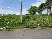全景　南から北