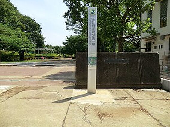 周辺環境:玉川...