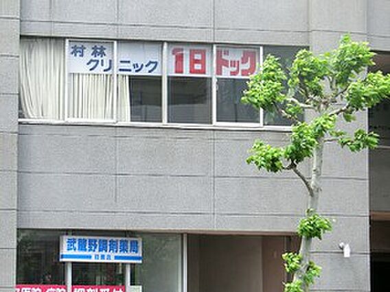 周辺環境:村林...