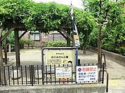氷川みかん公園