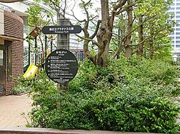 プラタナス公園