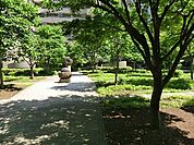 晴海第一公園