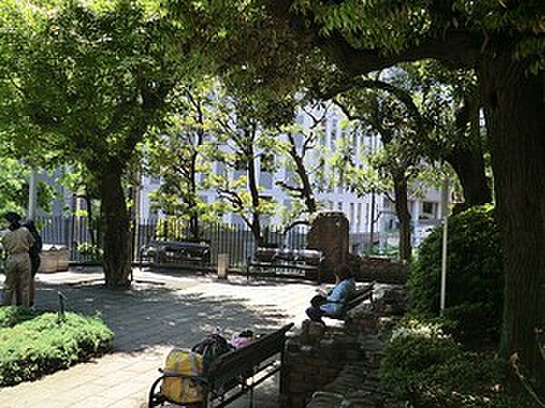 周辺を拡大表示