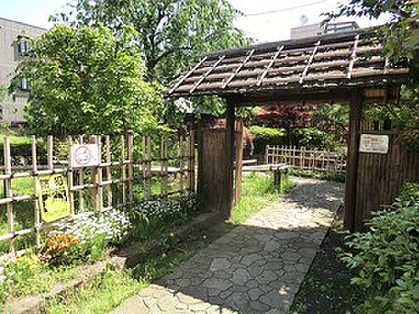 周辺を拡大表示