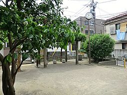周辺環境:氷川みかん公園