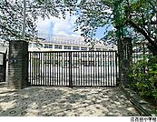 江古田小学校