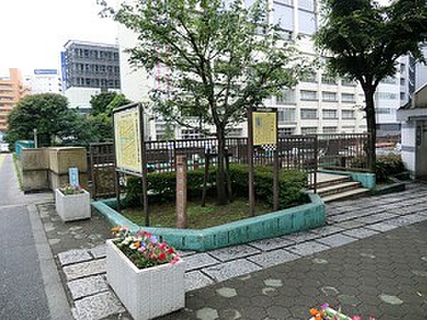 周辺を拡大表示