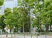 周辺環境:こうなん星の公園