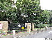青南小学校