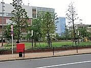 周辺環境:プラタナス公園