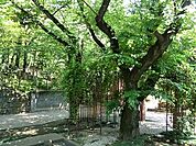 乃木公園