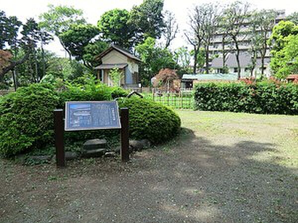周辺を拡大表示