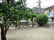周辺環境:氷川みかん公園