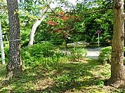 周辺環境:清水谷公園