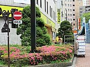 ハナマサ芝浦店