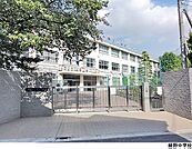 緑野中学校