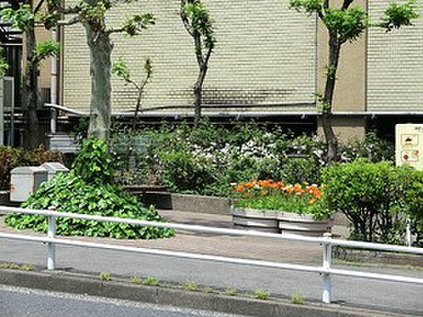 周辺を拡大表示