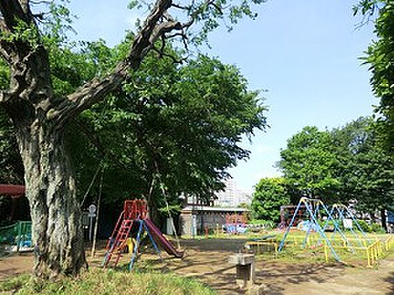 諏訪の森公園