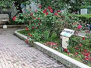 周辺環境:楓川新富橋公園