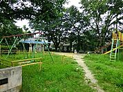 浜田山南公園