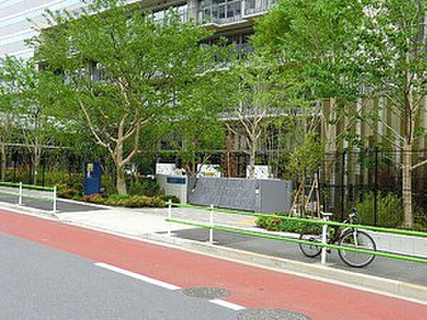 周辺を拡大表示