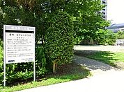 周辺環境:晴海第二公園