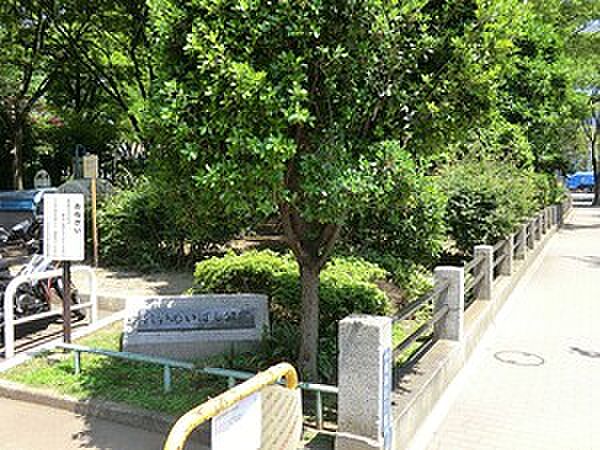 周辺を拡大表示
