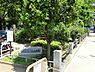 周辺：周辺環境:黎明橋公園