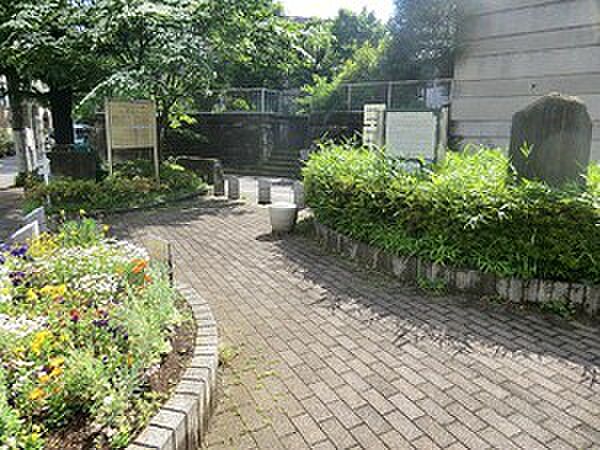 周辺を拡大表示