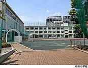 柏木小学校