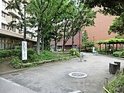 周辺環境:東大久保公園