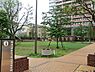 周辺：プラタナス公園