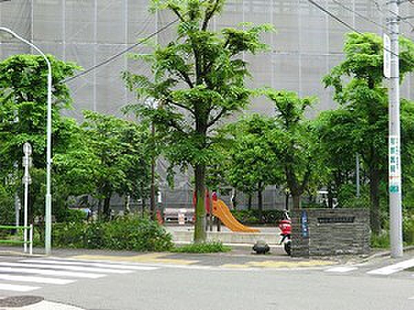 周辺を拡大表示