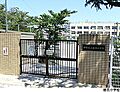 桃花小学校