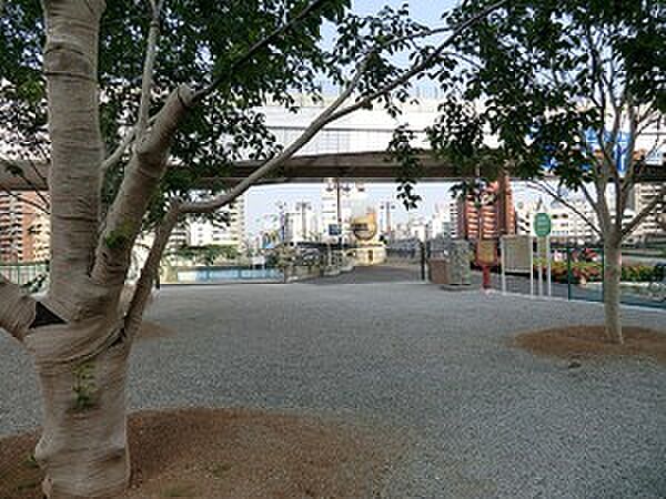 周辺を拡大表示