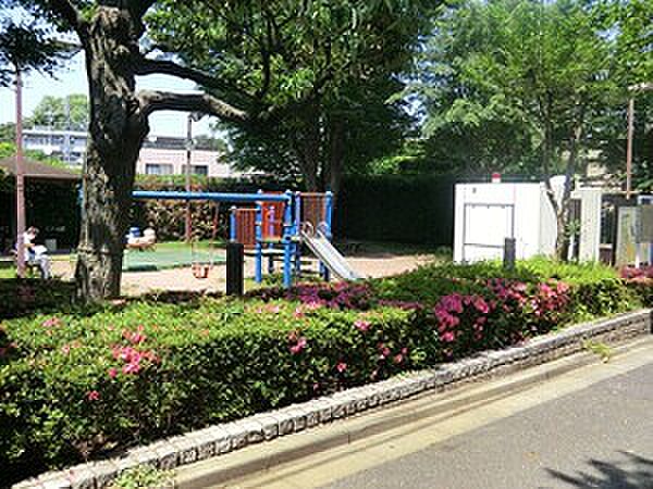 周辺を拡大表示