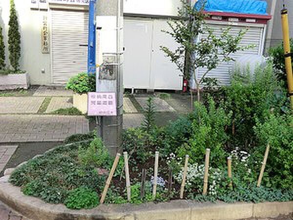 周辺