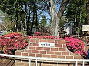 周辺環境:東根公園