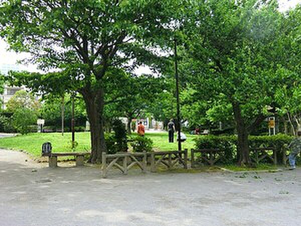 周辺を拡大表示