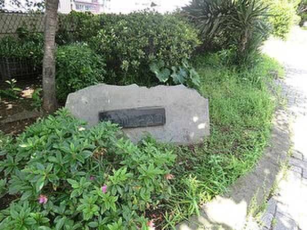 周辺を拡大表示