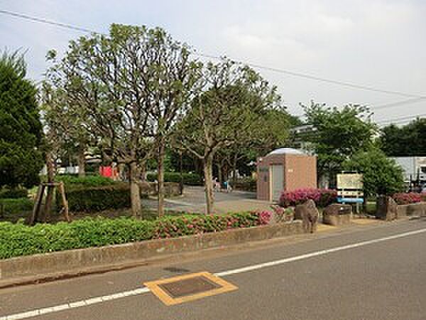 周辺を拡大表示