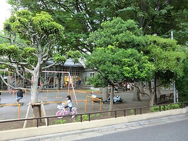 周辺を拡大表示