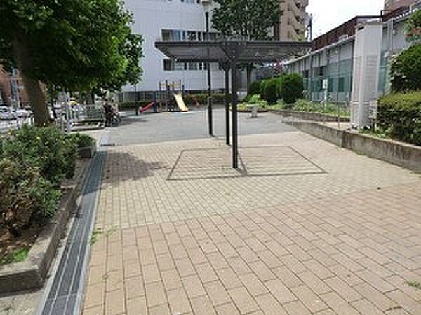 周辺を拡大表示