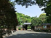 周辺環境:新江戸川公園
