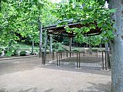 周辺環境:氷川の杜公園